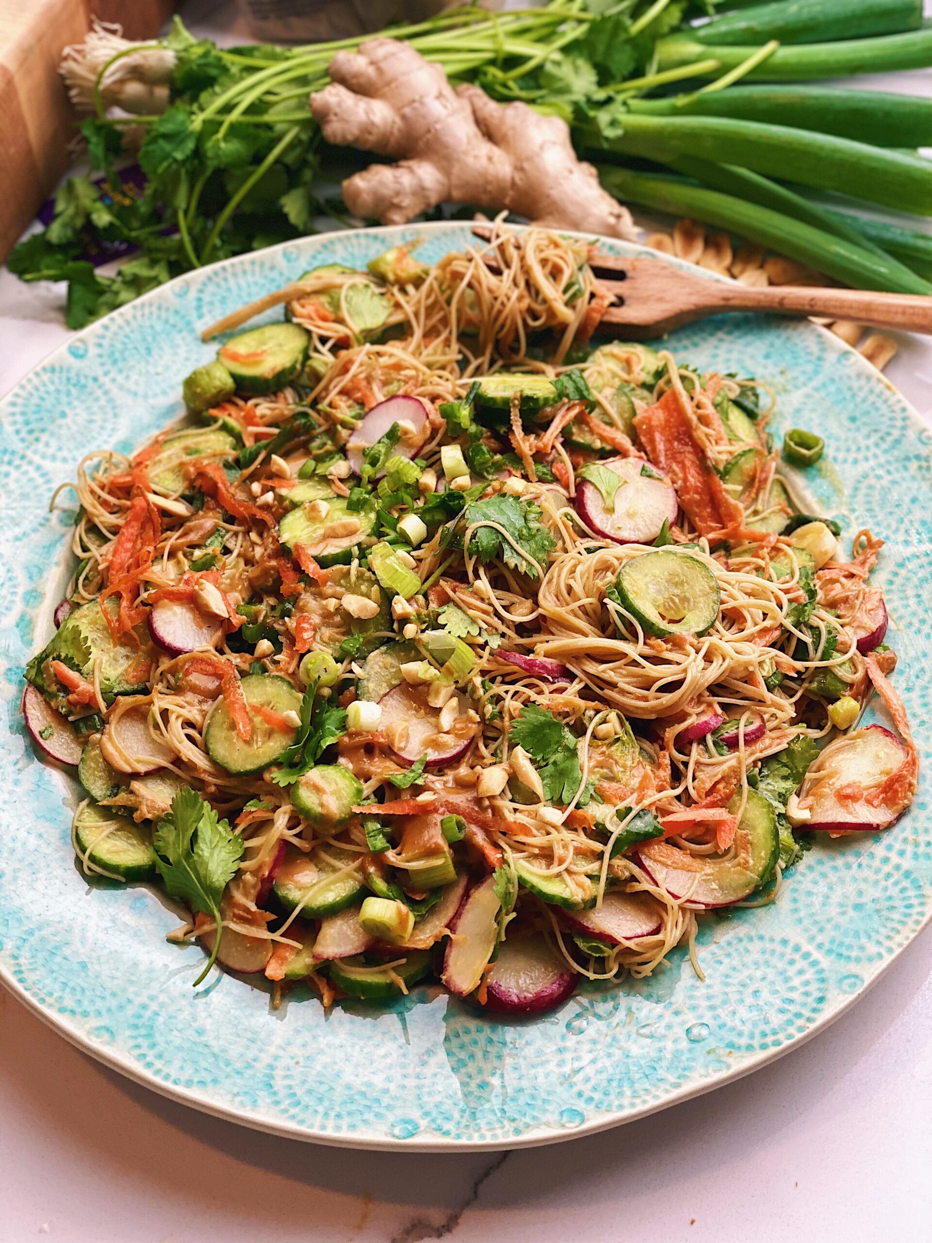 Southeast Asian Inspired Peanut Noodle Salad