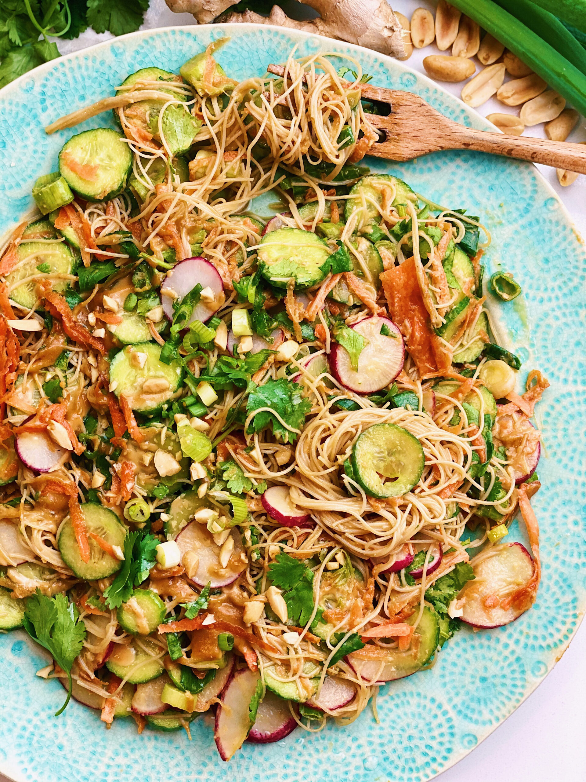 Southeast Asian Inspired Peanut Noodle Salad