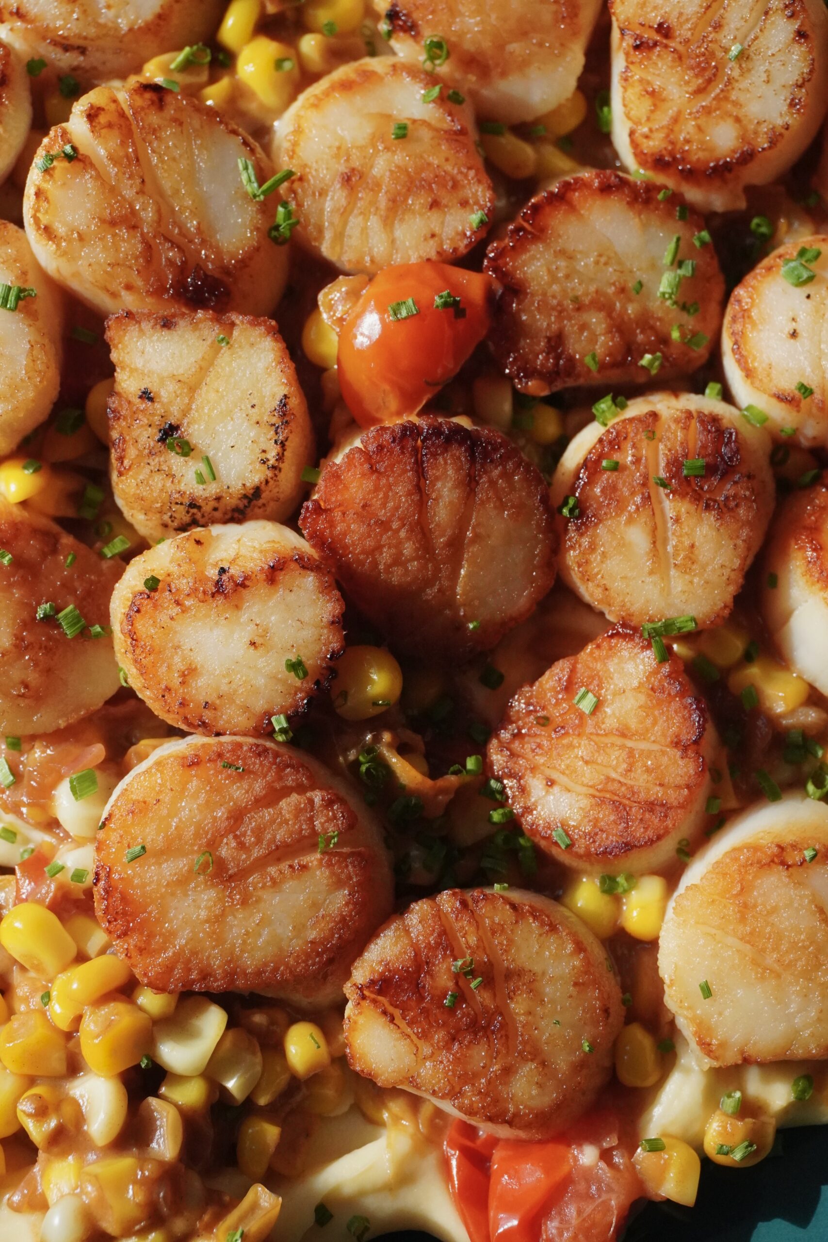 Closeup of seared scallops plated with parsnip purée and corn and tomatoes for a September dinner menu