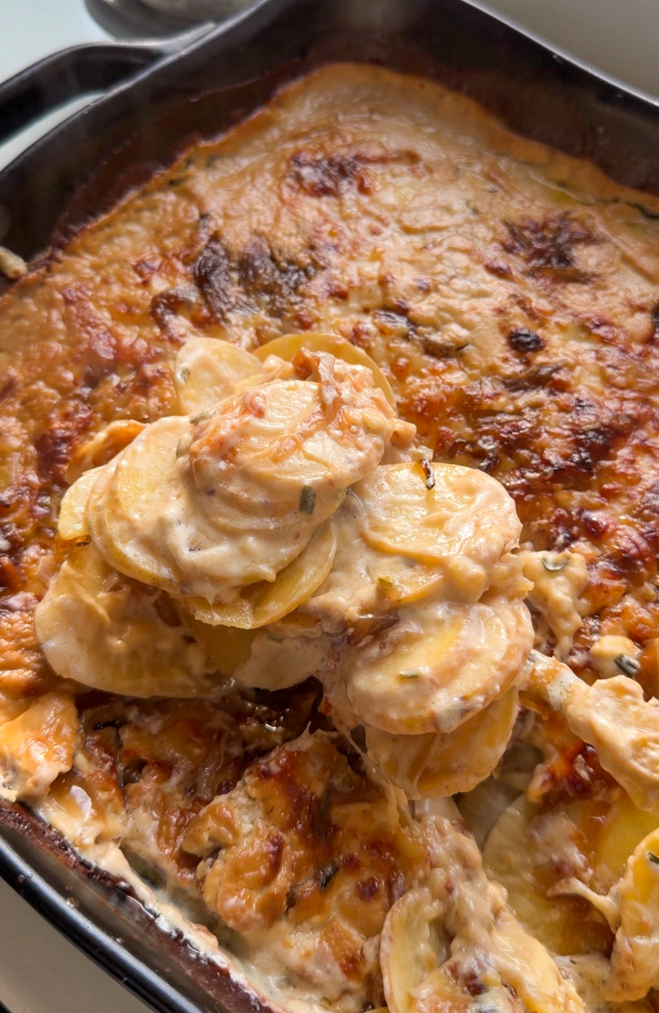 a close-up image of cheesy scalloped potatoes with caramelized onions and thyme