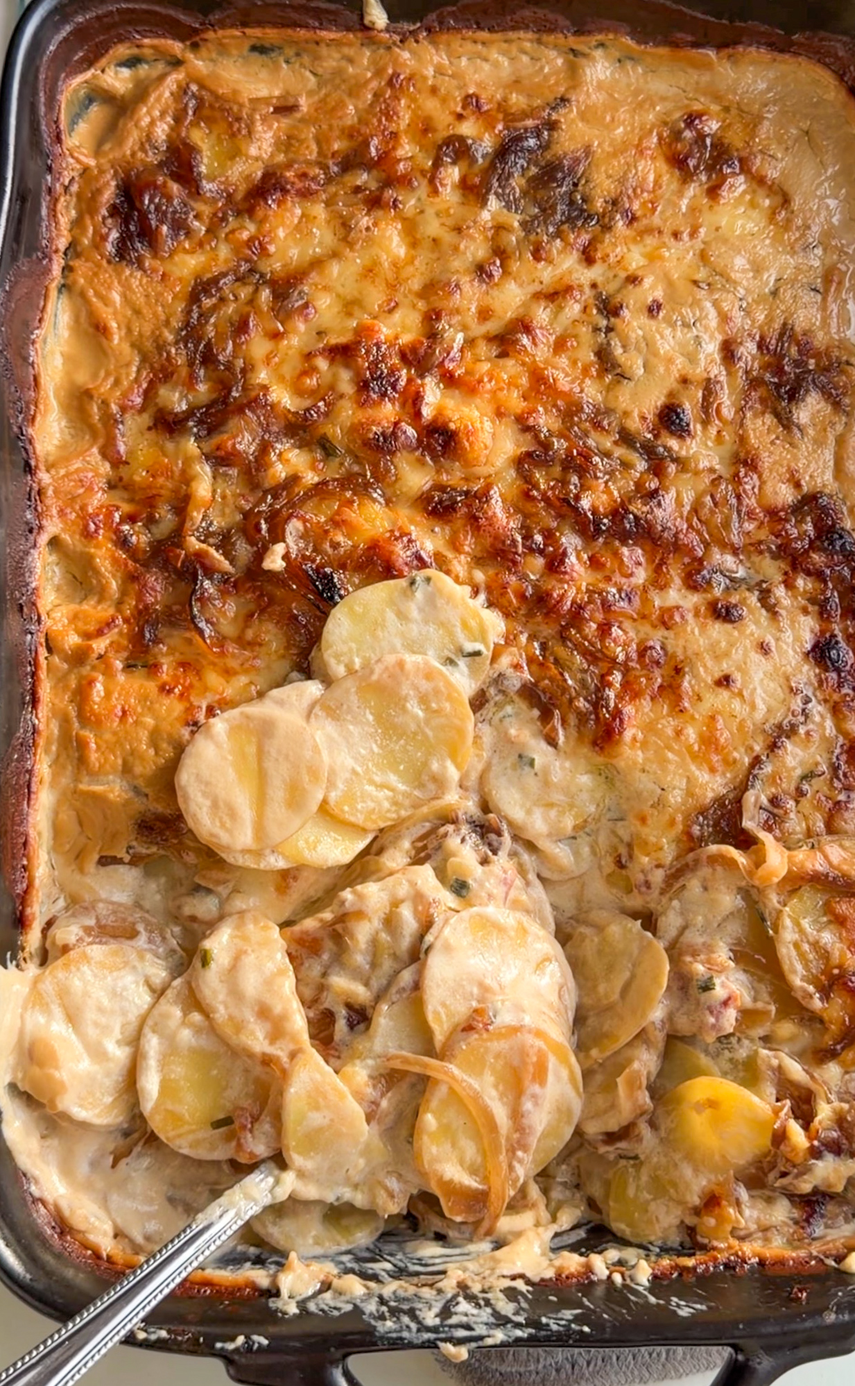 Creamy French onion scalloped potatoes fresh from the oven