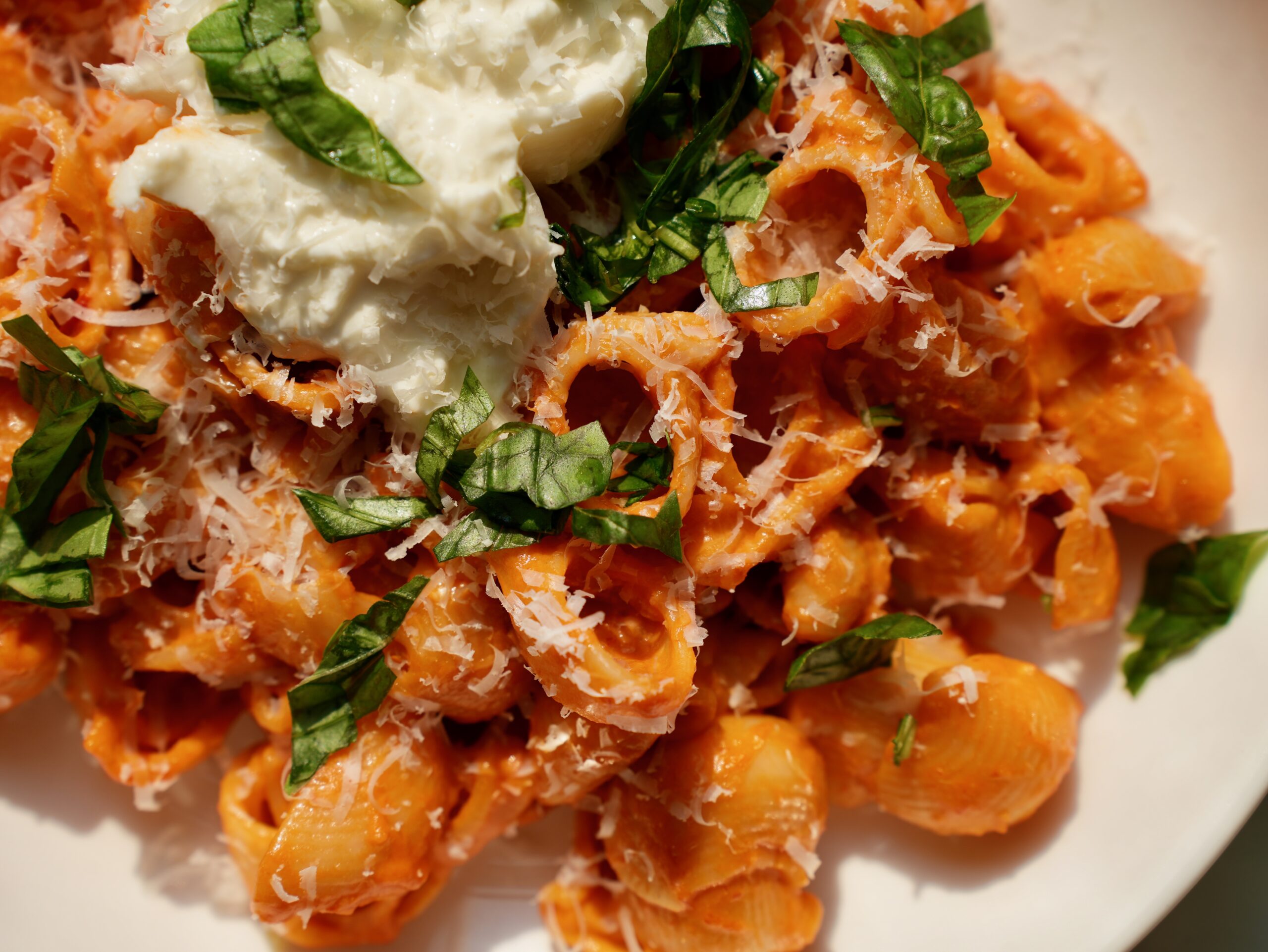 Close-up of creamy spicy vodka pasta with burrata, Parmesan and fresh basil