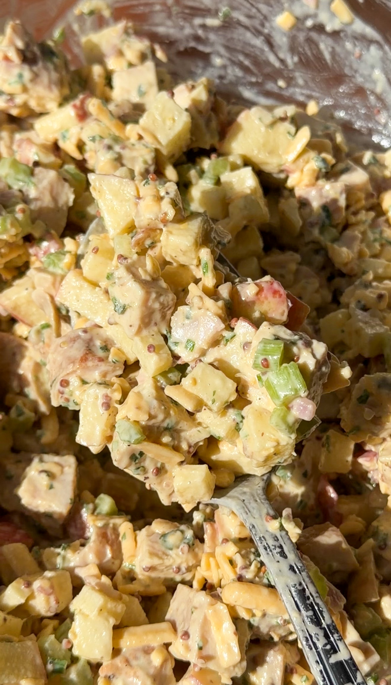 Close-up of apple cheddar chicken salad with diced Honeycrisp apples, chicken, celery, grated cheddar and herbs in creamy mustard dressing