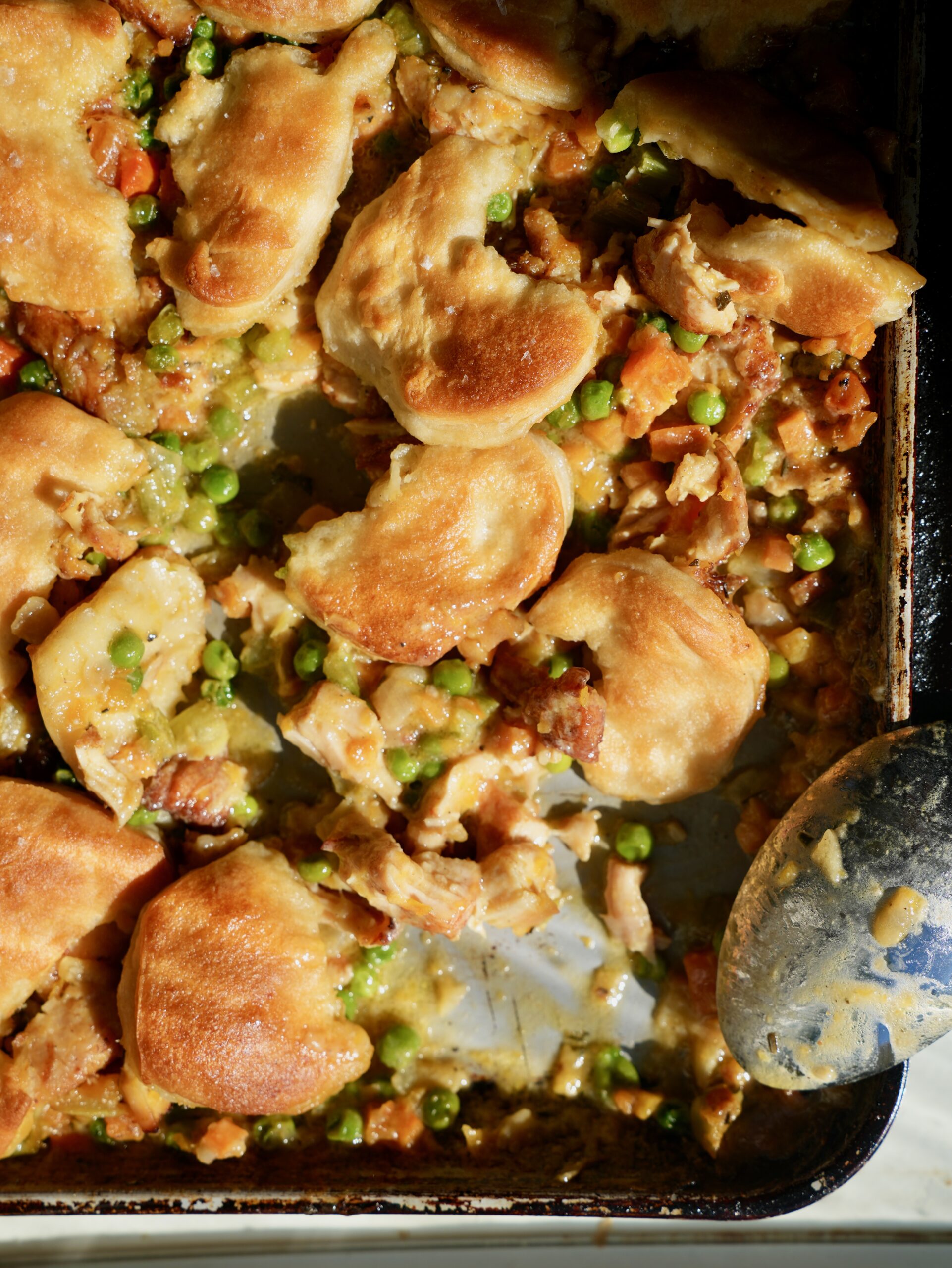 Close-up of creamy sheet pan chicken pot pie with torn biscuits, turkey, peas and fall vegetables.