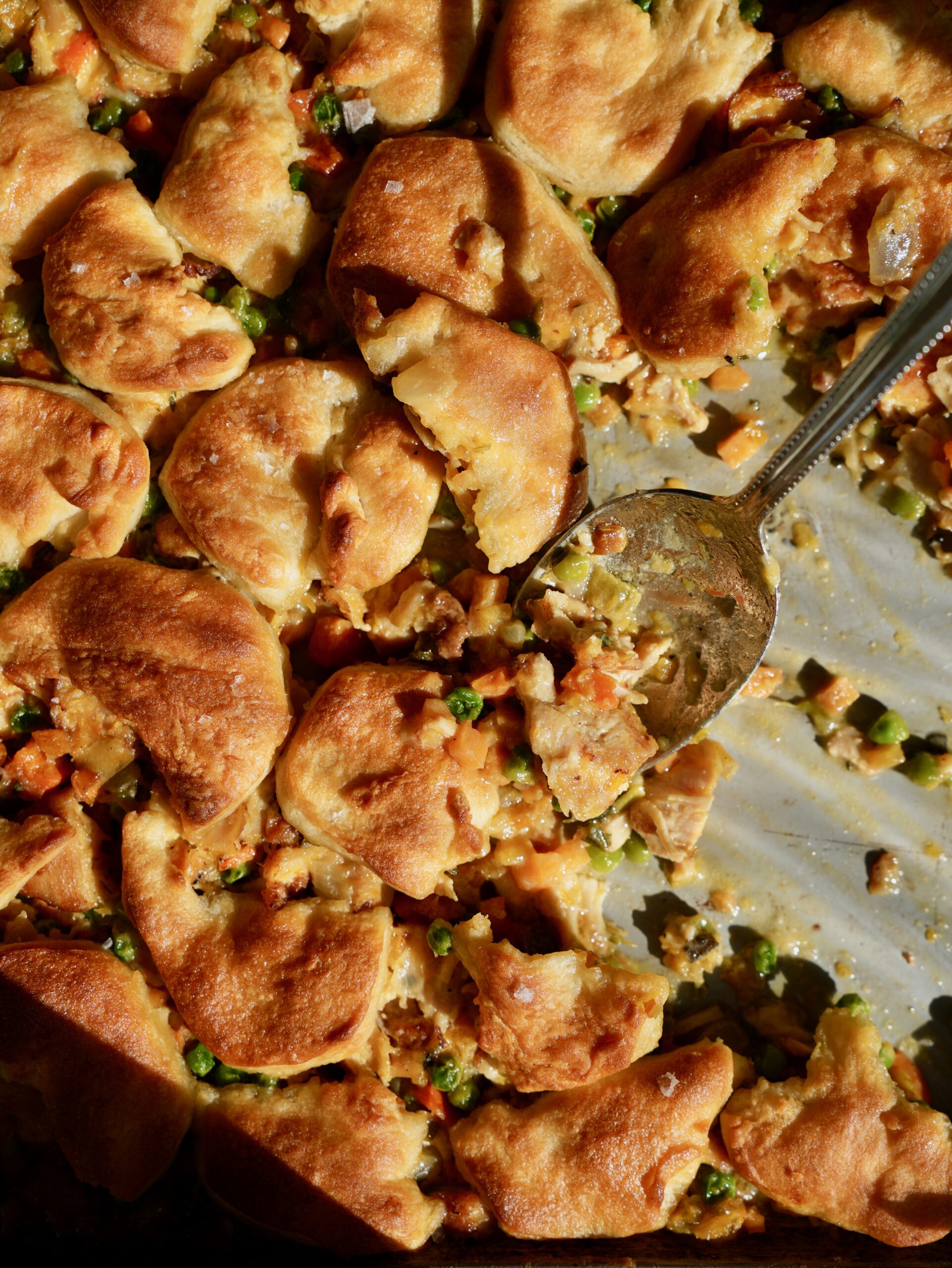 Sheet pan chicken pot pie with golden biscuits and creamy turkey and vegetable filling being served